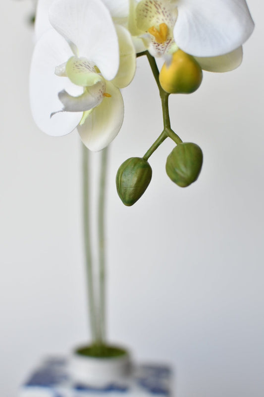 20" Faux Blue & White Phalaenopsis Orchid Arrangement