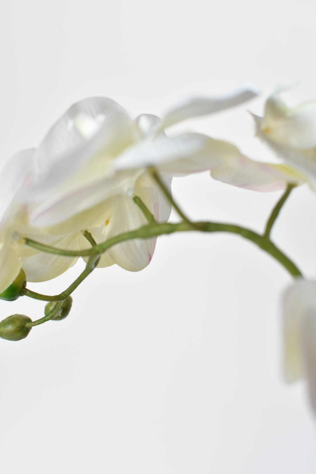 20" Faux Blue & White Phalaenopsis Orchid Arrangement