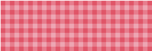 Pink Gingham Wipeable Table Runner | EnFete Party
