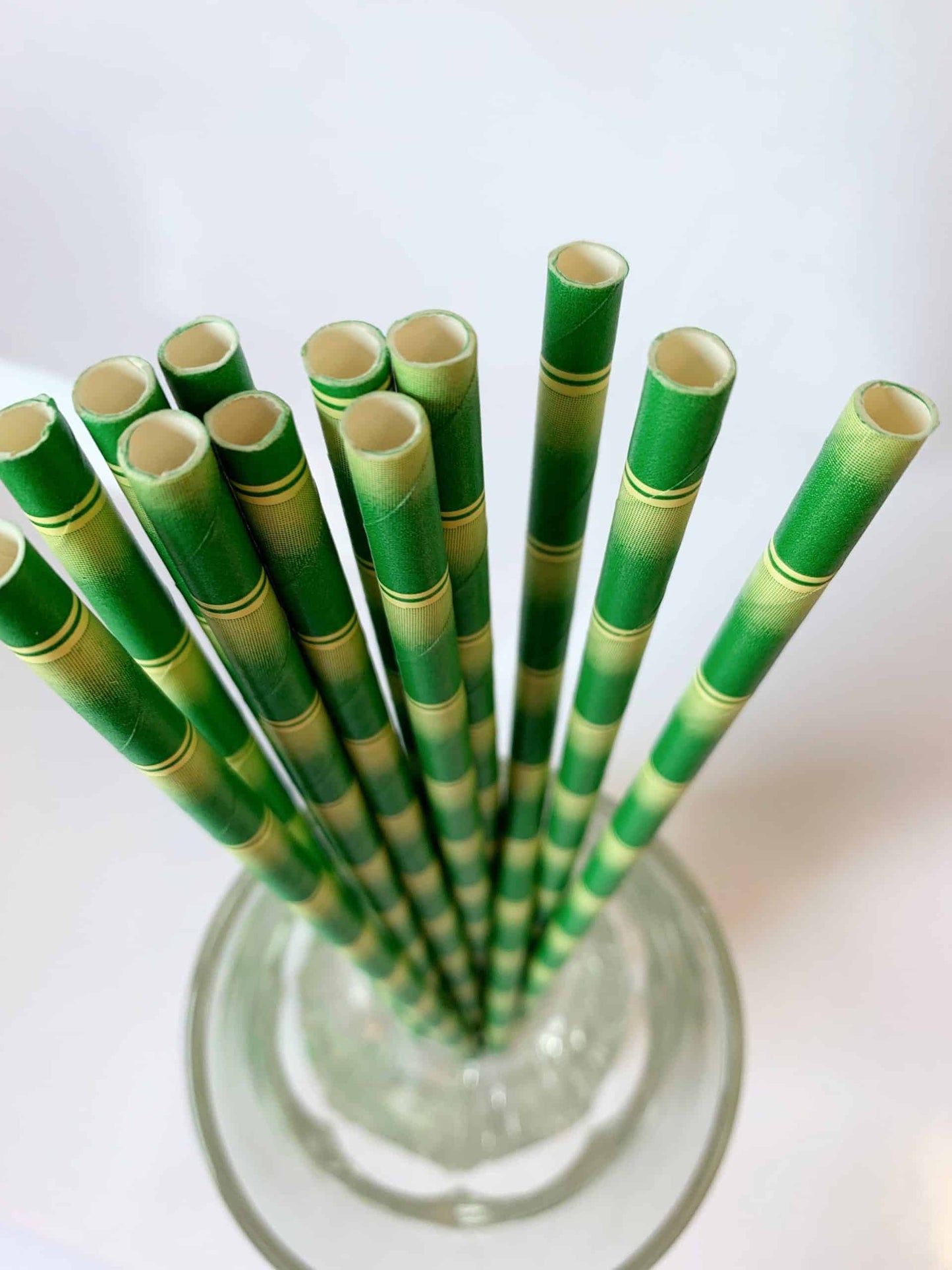 Bamboo Straws set of 12