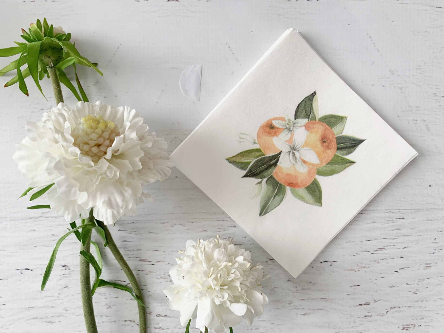 Image of clementine cocktail napkins featuring a clementine and blossom design on a white background. Each pack contains 16 cocktail-sized napkins, 4.75 x 4.75 inches, perfect for a Little Cutie-themed baby shower or main squeeze party.