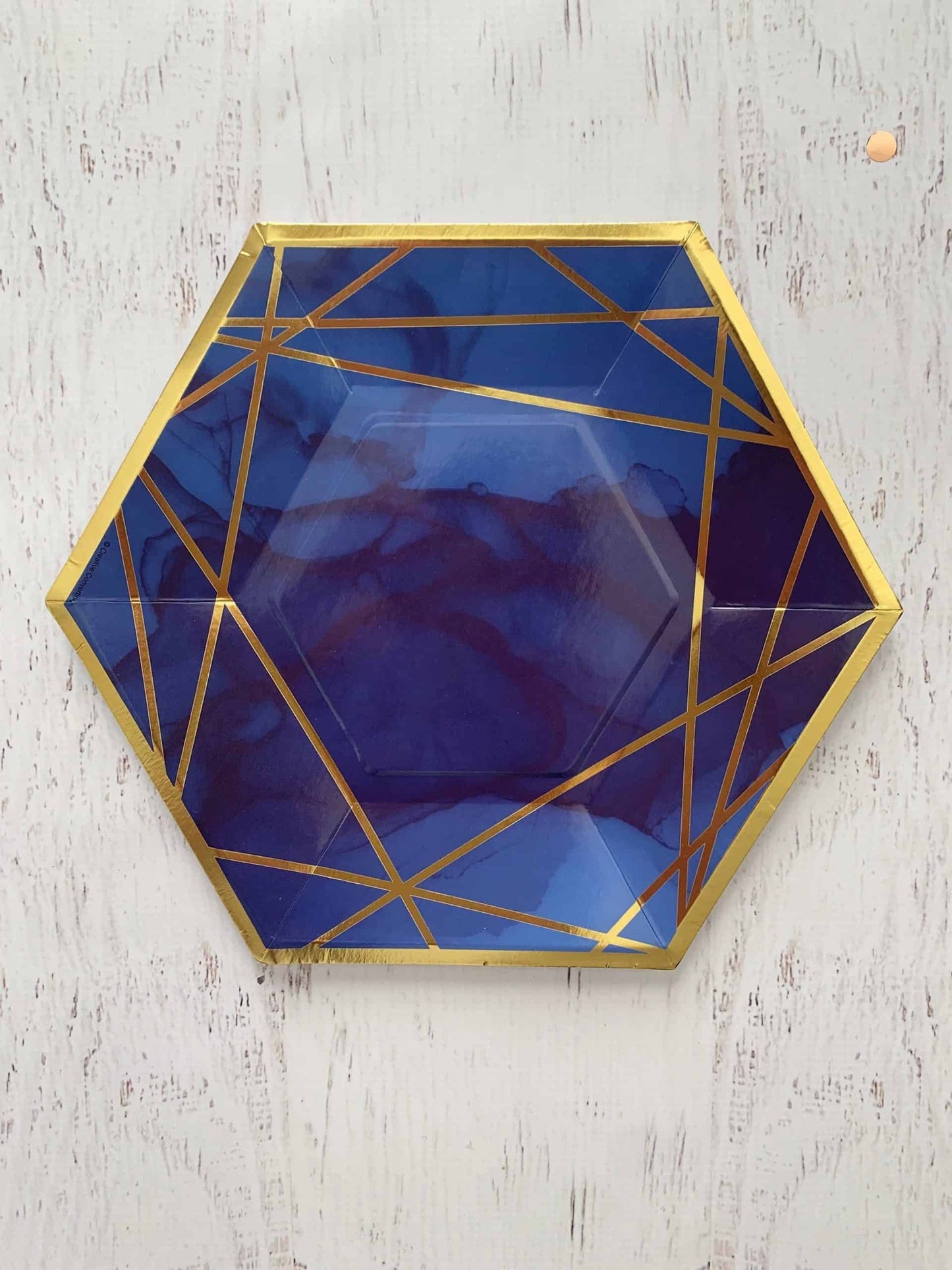 Navy and Gold Dinner Plates