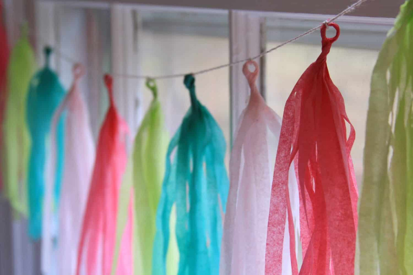 Fiesta Tassel Garland