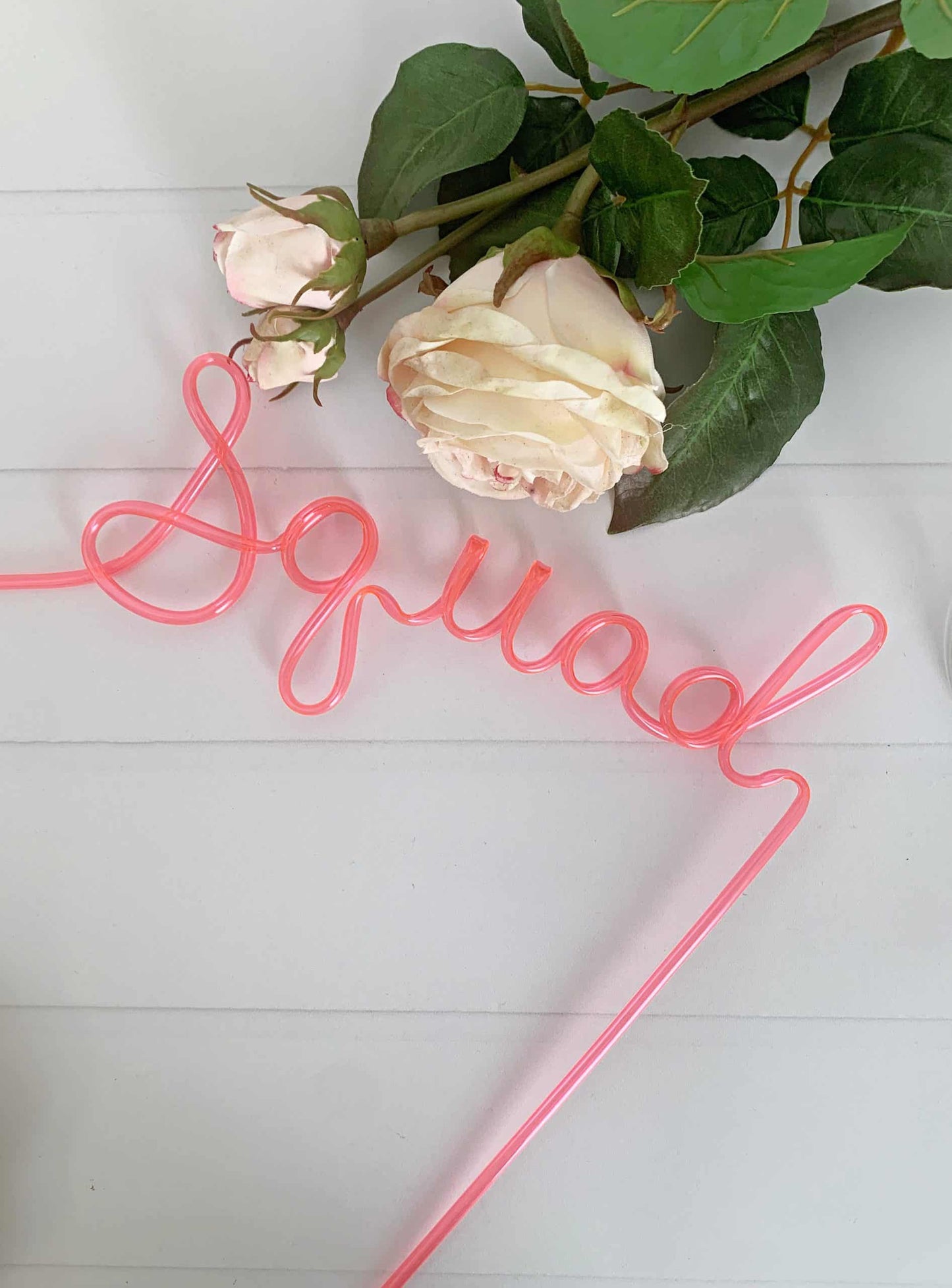 Squad Straws for a Bachelorette party