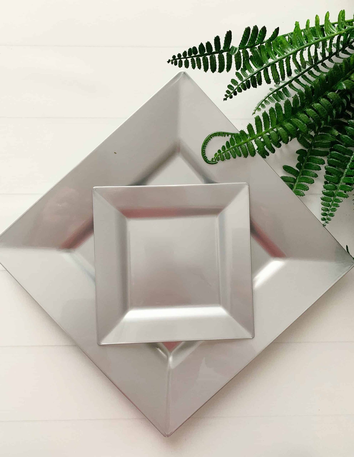 Silver Dinner Plates - Plastic