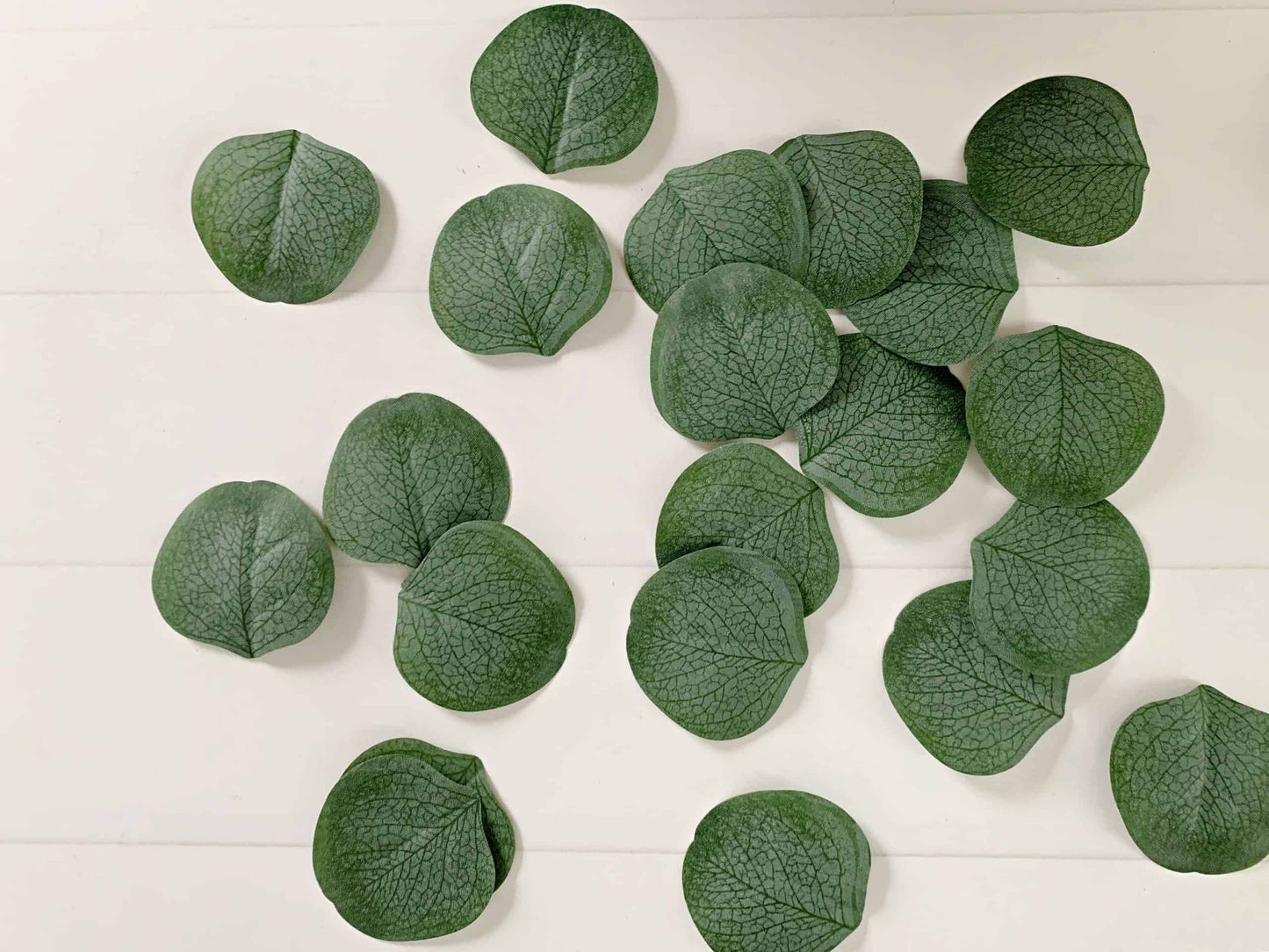 Sage Eucalyptus Leaf Confetti