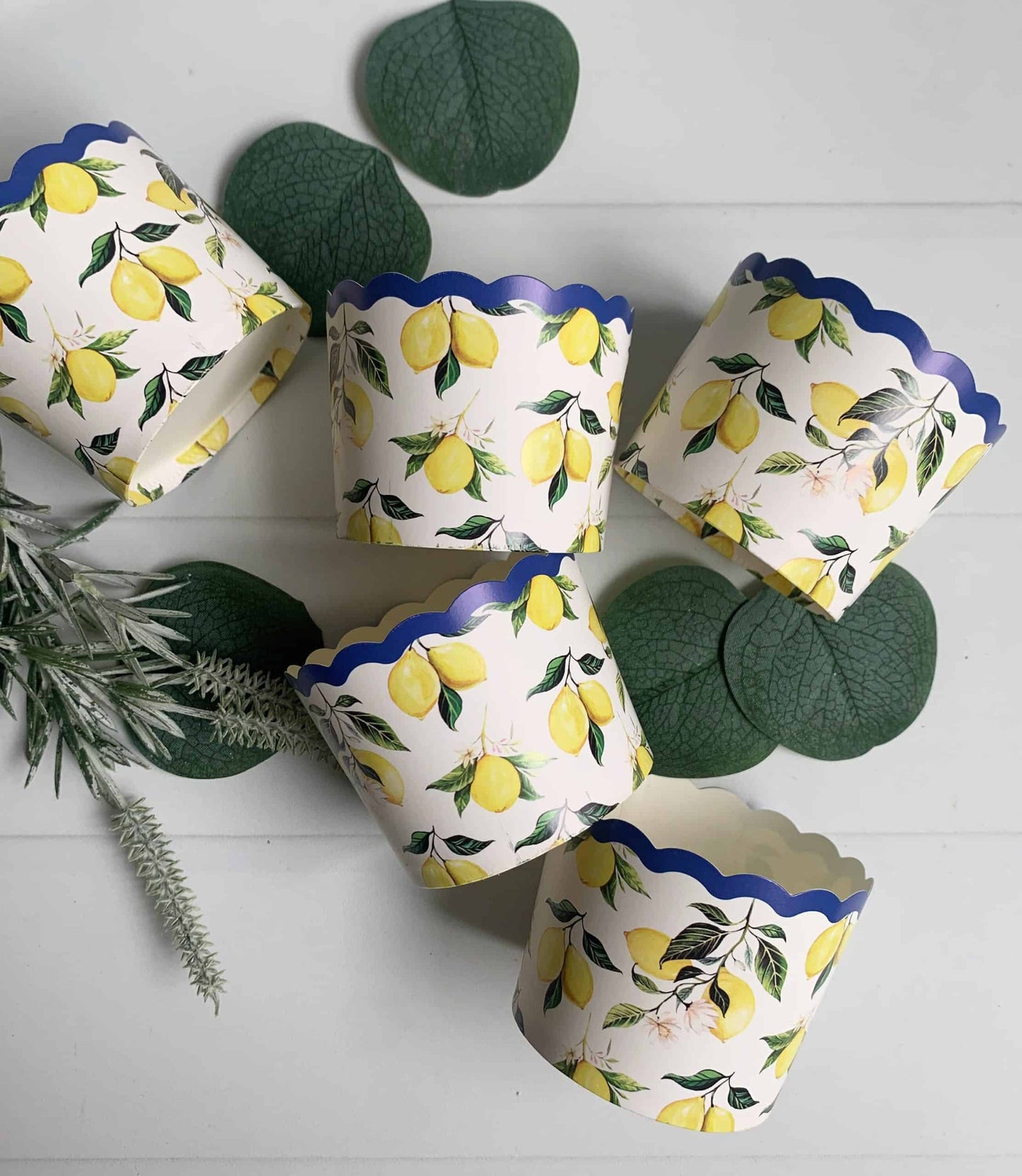 Lemon & Blue Baking Cups