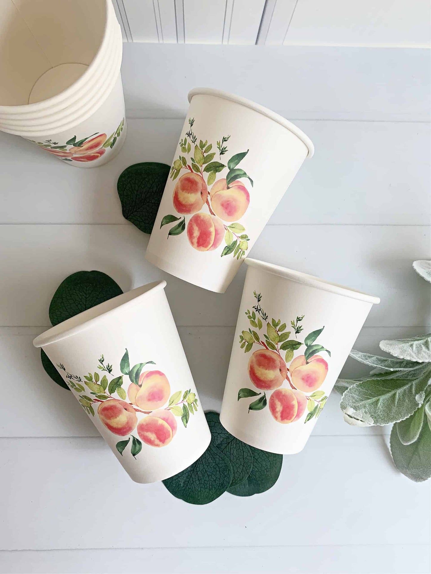 Peach Paper Cups - 12 ounce - Set of 8
