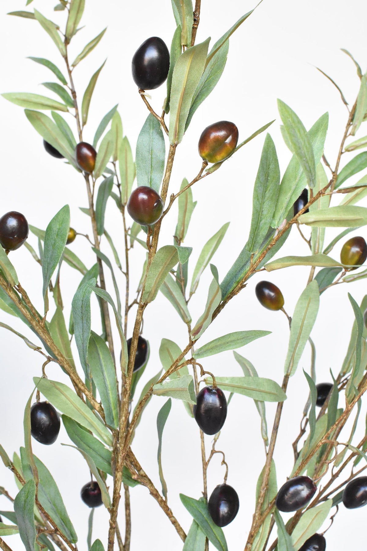 Artificial olive branch with green leaves and black olives on a white background