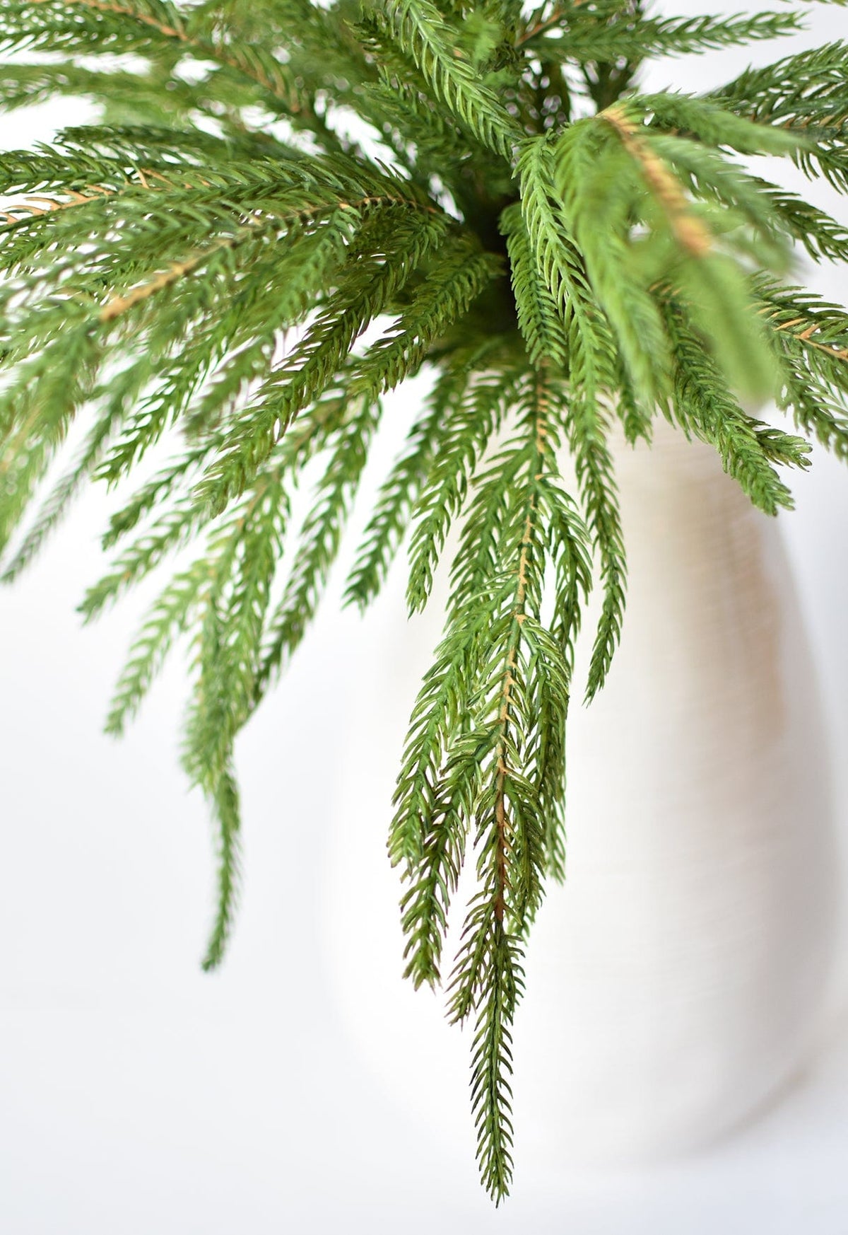 20" Faux Green Norfolk Pine Bush | EnFete Party