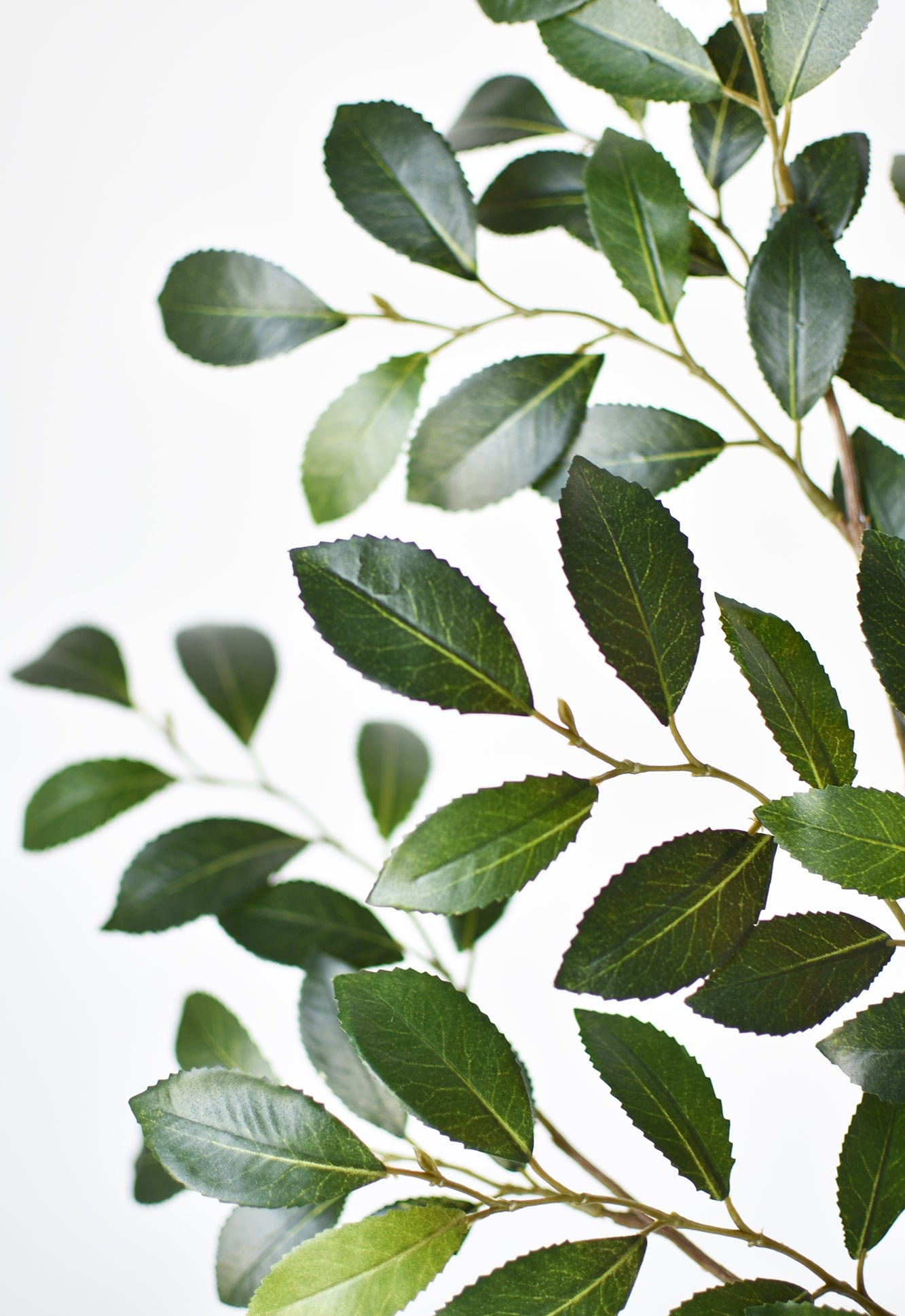 26" Faux Ruscus Leaf Stem
