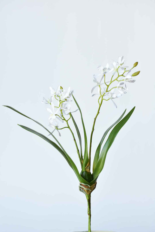 Faux Mini Orchid Stem 16 Inch with Leaves and Roots - White Artificial Orchid Flowers