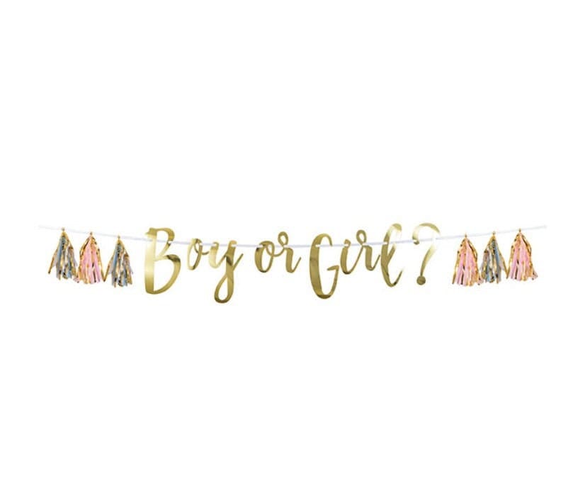 Boy or Girl Gender Reveal Banner with Gold Lettering & Tassels - 60 inch | EnFete Party