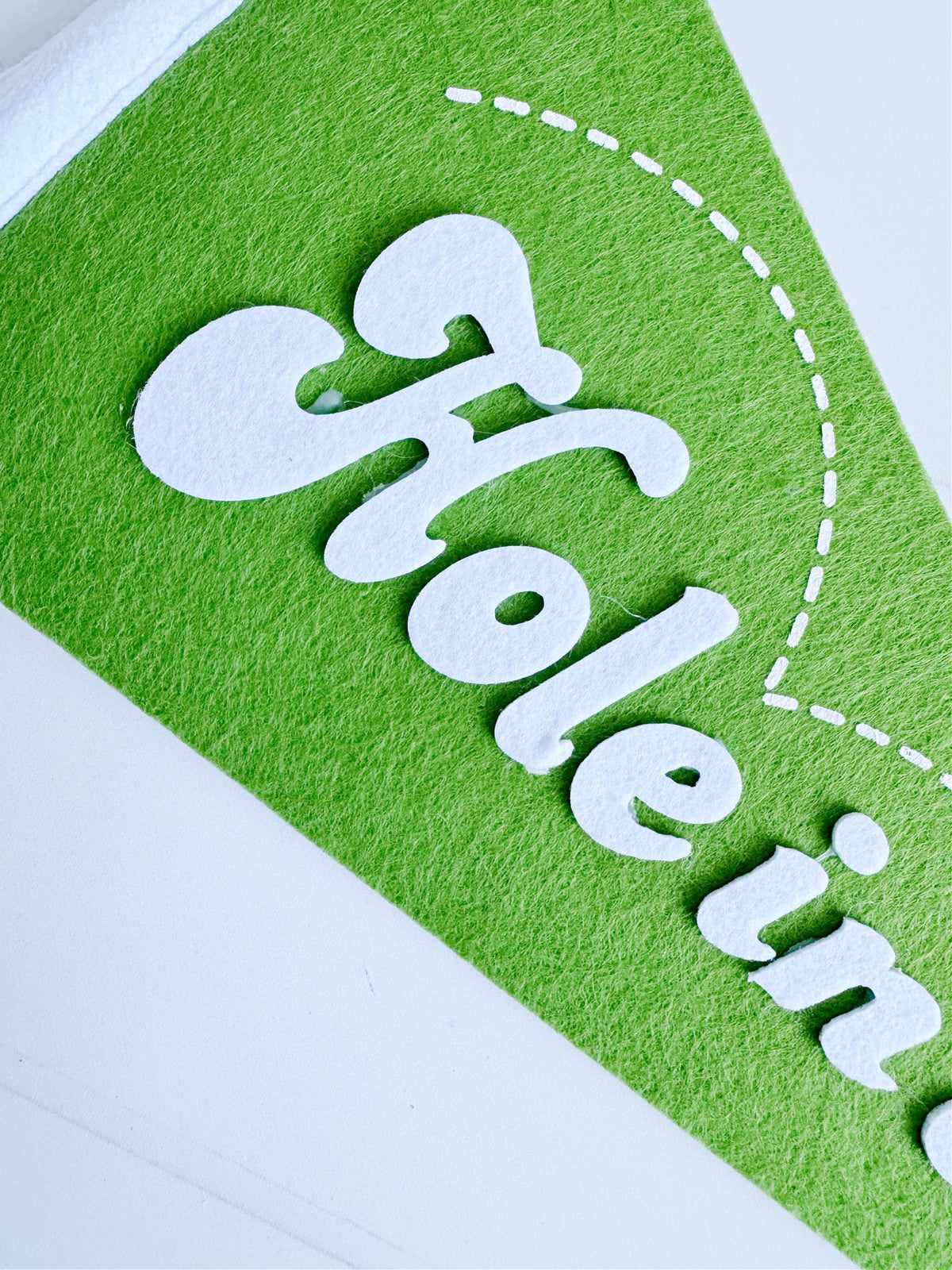 Golf Felt Pennant Banner - Hole in One Party Decoration | EnFete Party