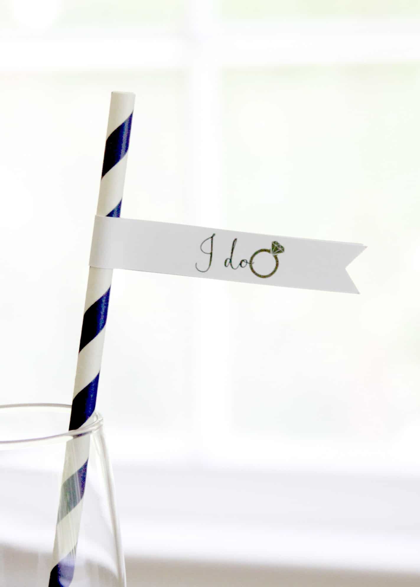 I Do Drink Straws - Engagement Party