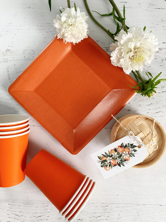 Orange Dinner Plates Square | EnFete Party