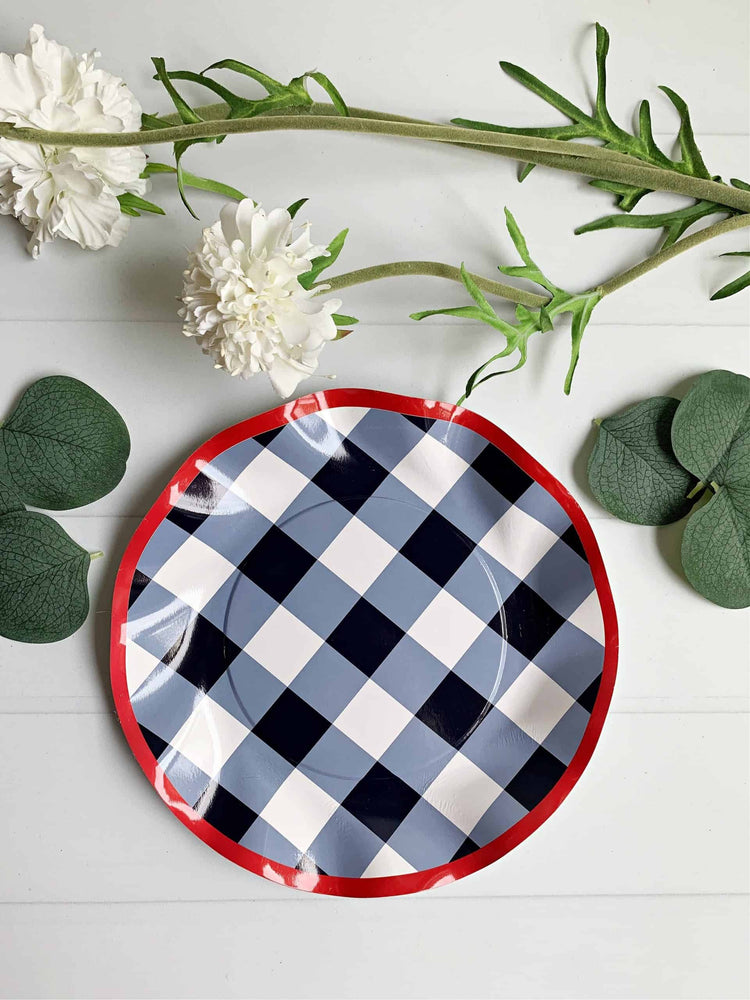 Family Reunion Gingham Party Supplies and Patriotic 4th of July Supplies.