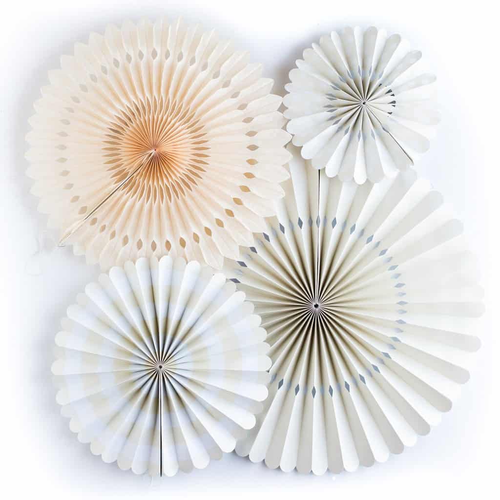 Backdrop Fans