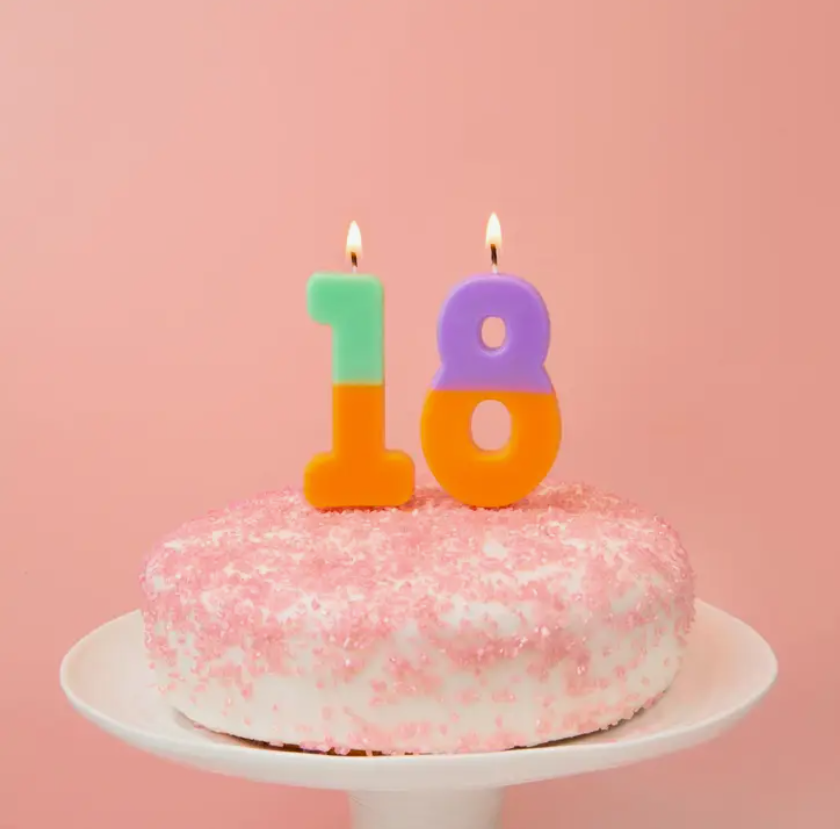 Birthday Hat Cake Plates