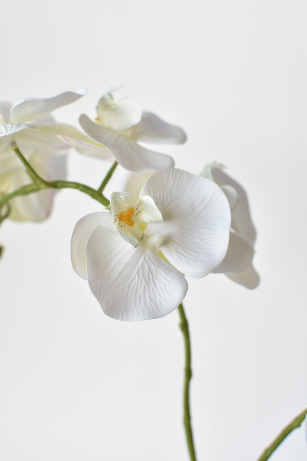 20" Faux Blue & White Phalaenopsis Orchid Arrangement