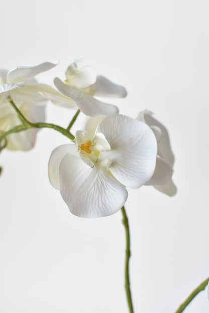 20" Faux Blue & White Phalaenopsis Orchid Arrangement