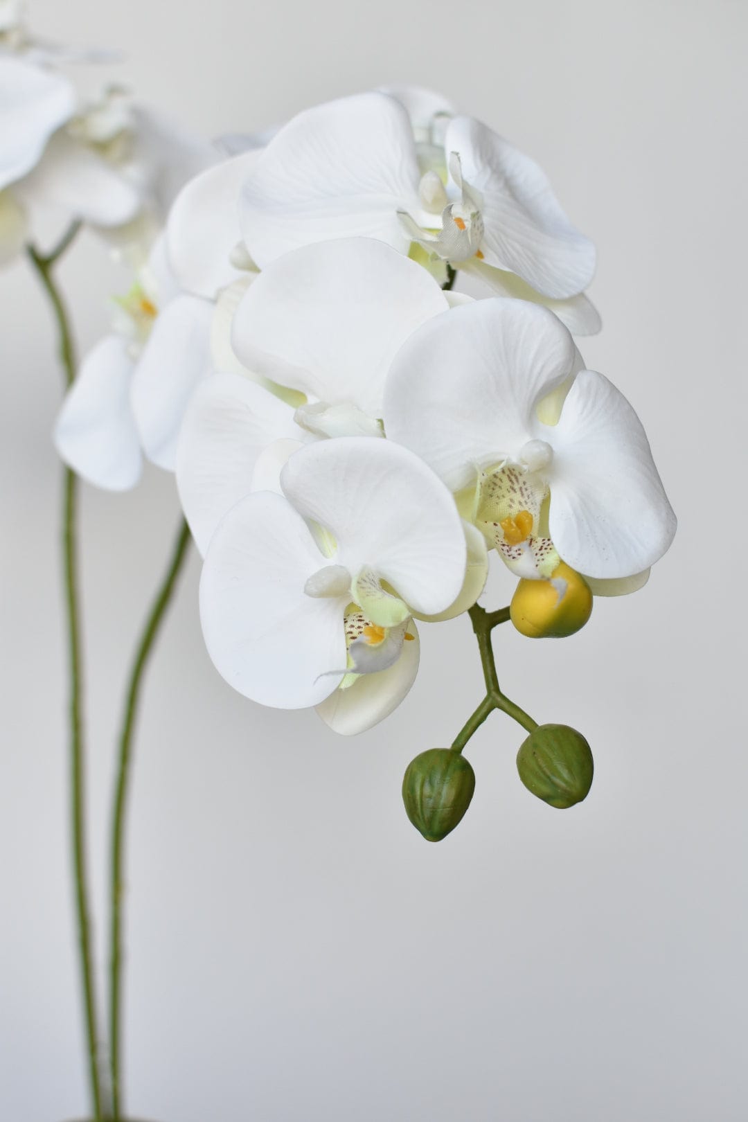 20" Faux Blue & White Phalaenopsis Orchid Arrangement