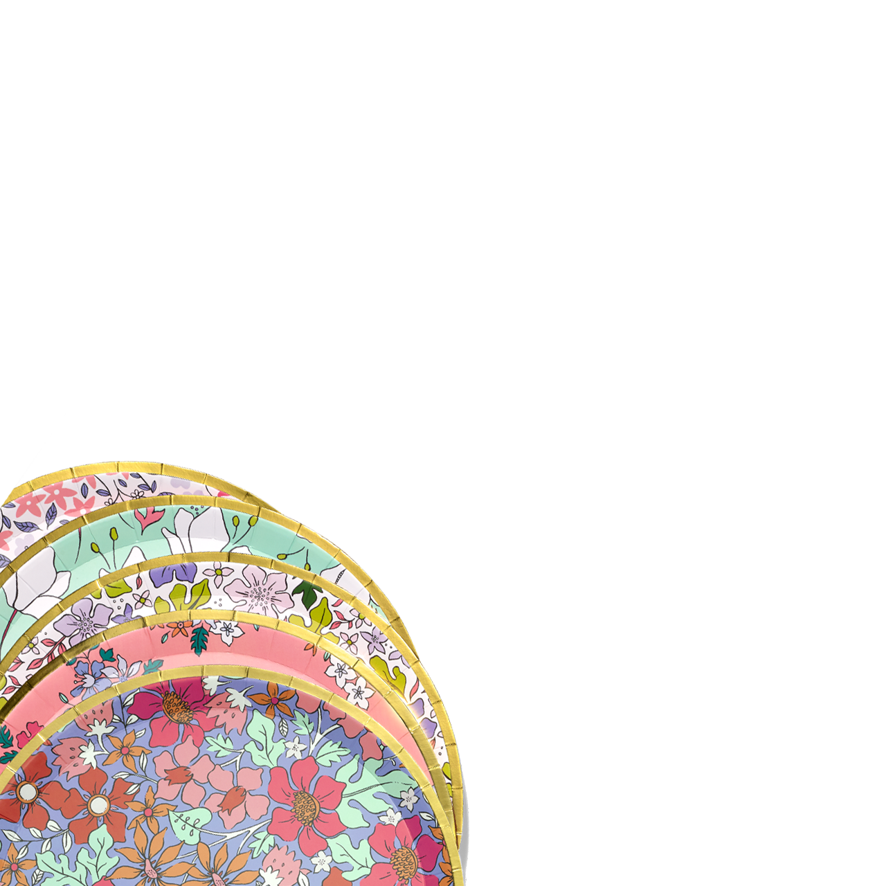 Boho Floral Paper Tea Party Plates - Large