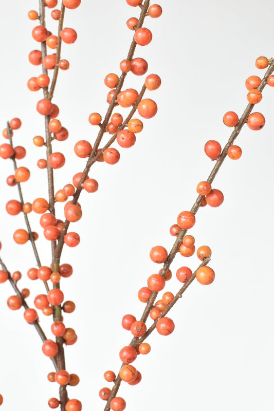 43" Faux Orange Berry Stem for Fall Decor