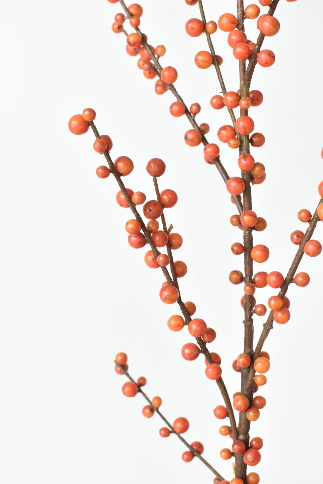 43" Faux Orange Berry Stem for Fall Decor
