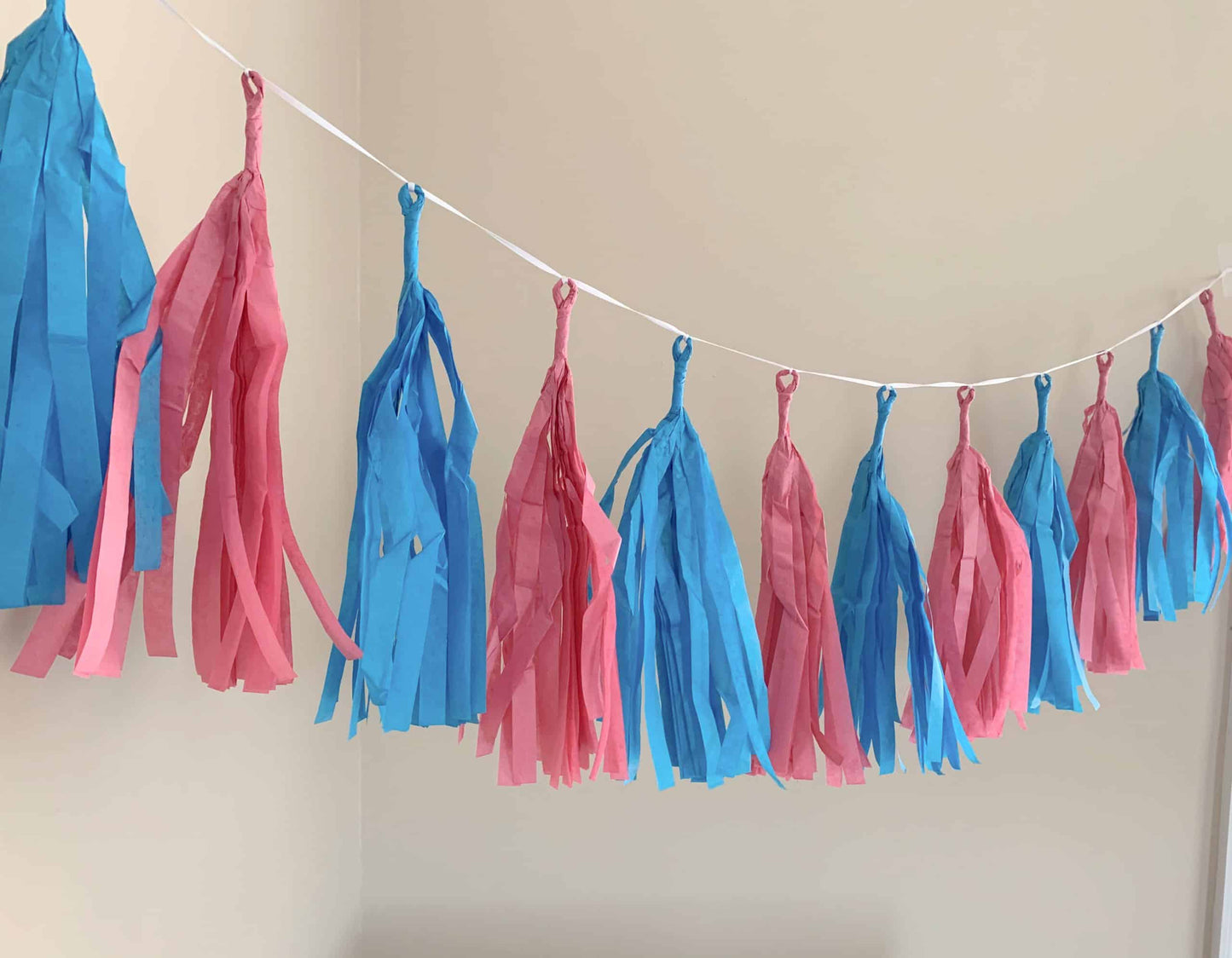 Gender Reveal Balloon Tail OR Tassel Garland