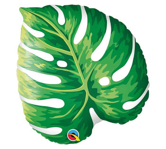 Looking for an eye-catching addition to your tropical-themed party or bridal shower? Look no further than our Monstera Leaf Shaped Balloon! This balloon is shaped like a monstera leaf, making it a perfect decor element for a variety of events, including bridal showers, birthdays, and summer parties. Crafted from high-quality mylar, this balloon is designed to withstand extended use and can be inflated with helium or air. At 21" tall, it's large enough to be a statement piece on its own or combined with othe