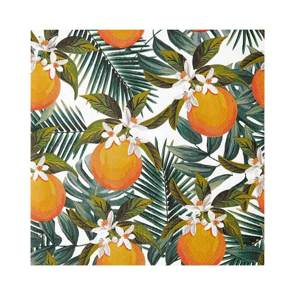 Orange Fruit Napkins