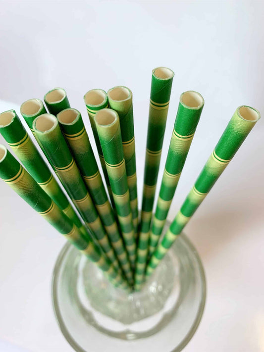 Bamboo Straws set of 12