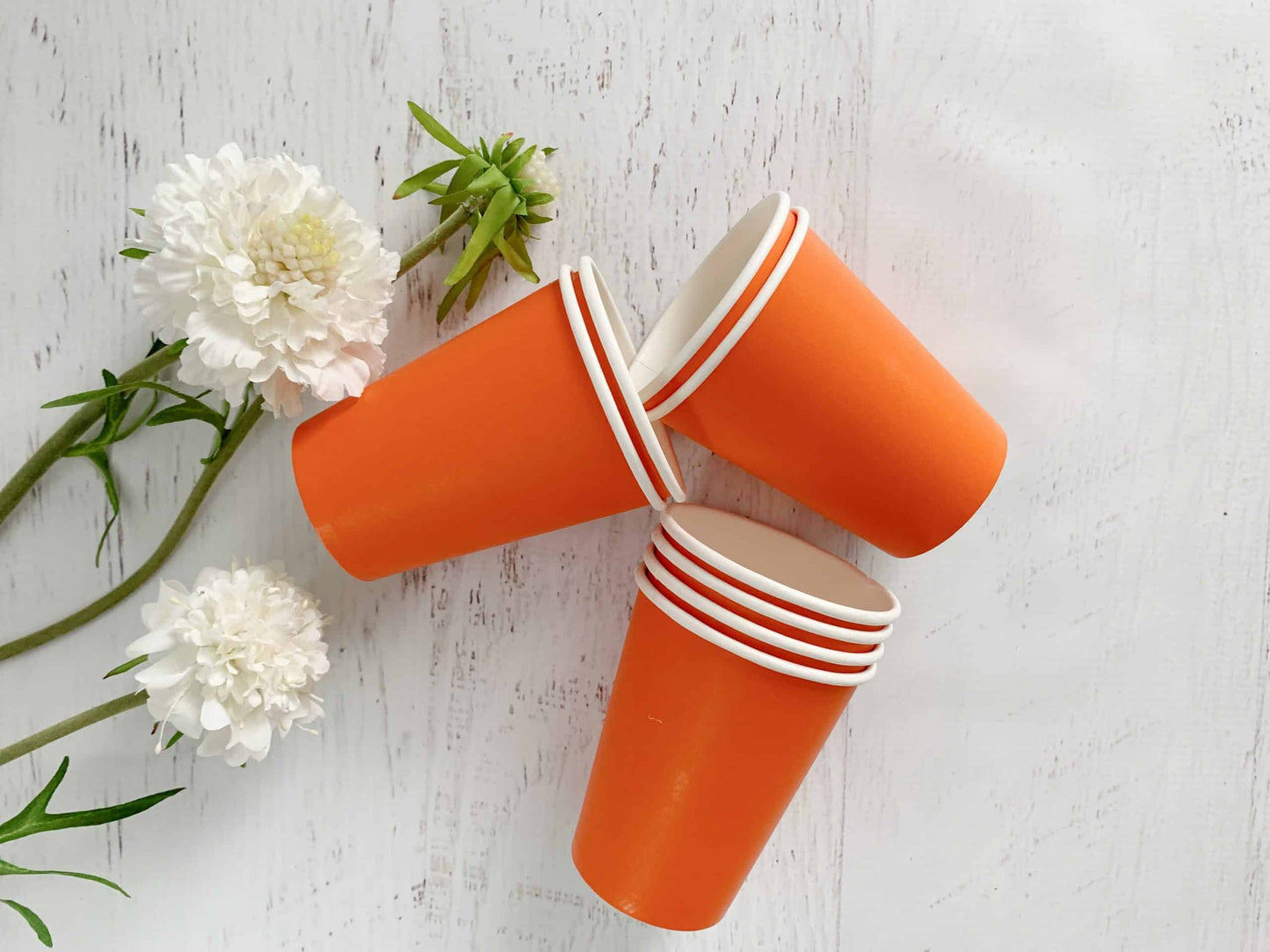 Orange Paper Cups
