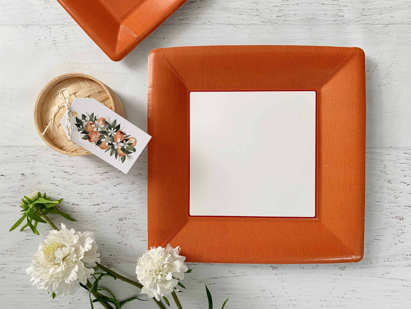 Orange Dinner Plates Square