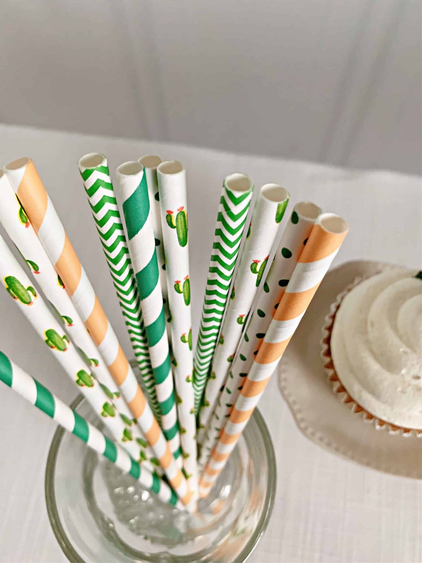 Cactus Straws