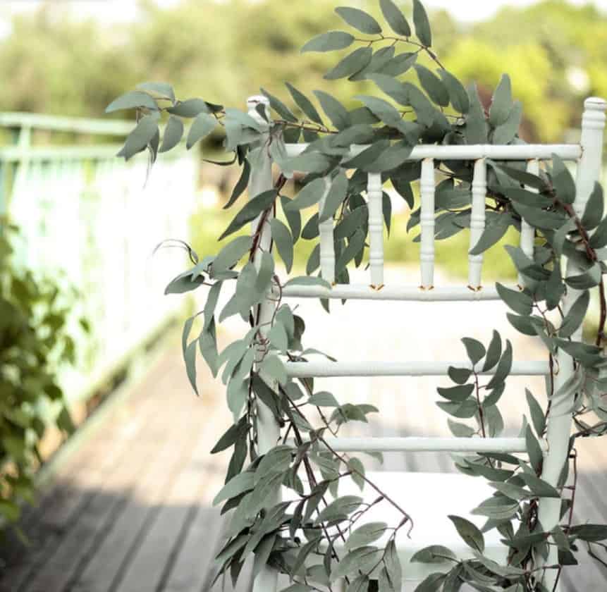 Frosted Willow Garland