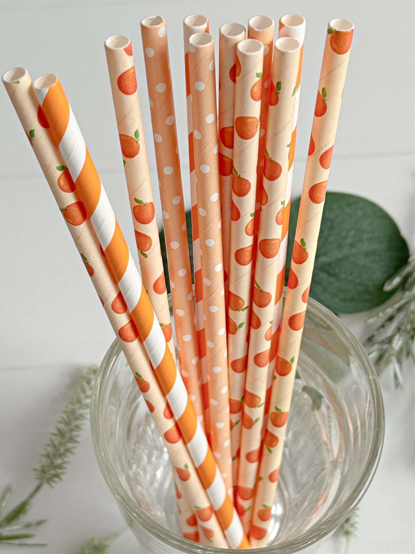 Orange & Peach Paper Straws - Citrus Cocktail Stirrers Set of 12