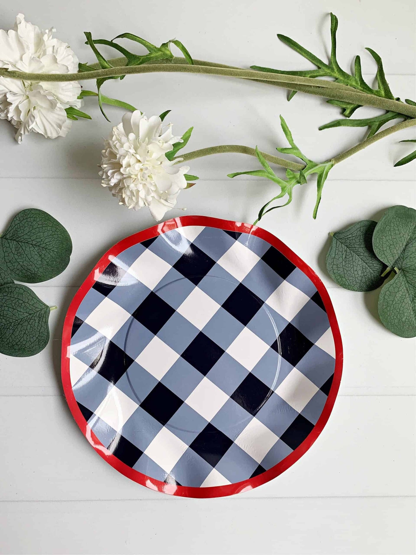 Family Reunion Gingham Party Supplies and Patriotic 4th of July Supplies.