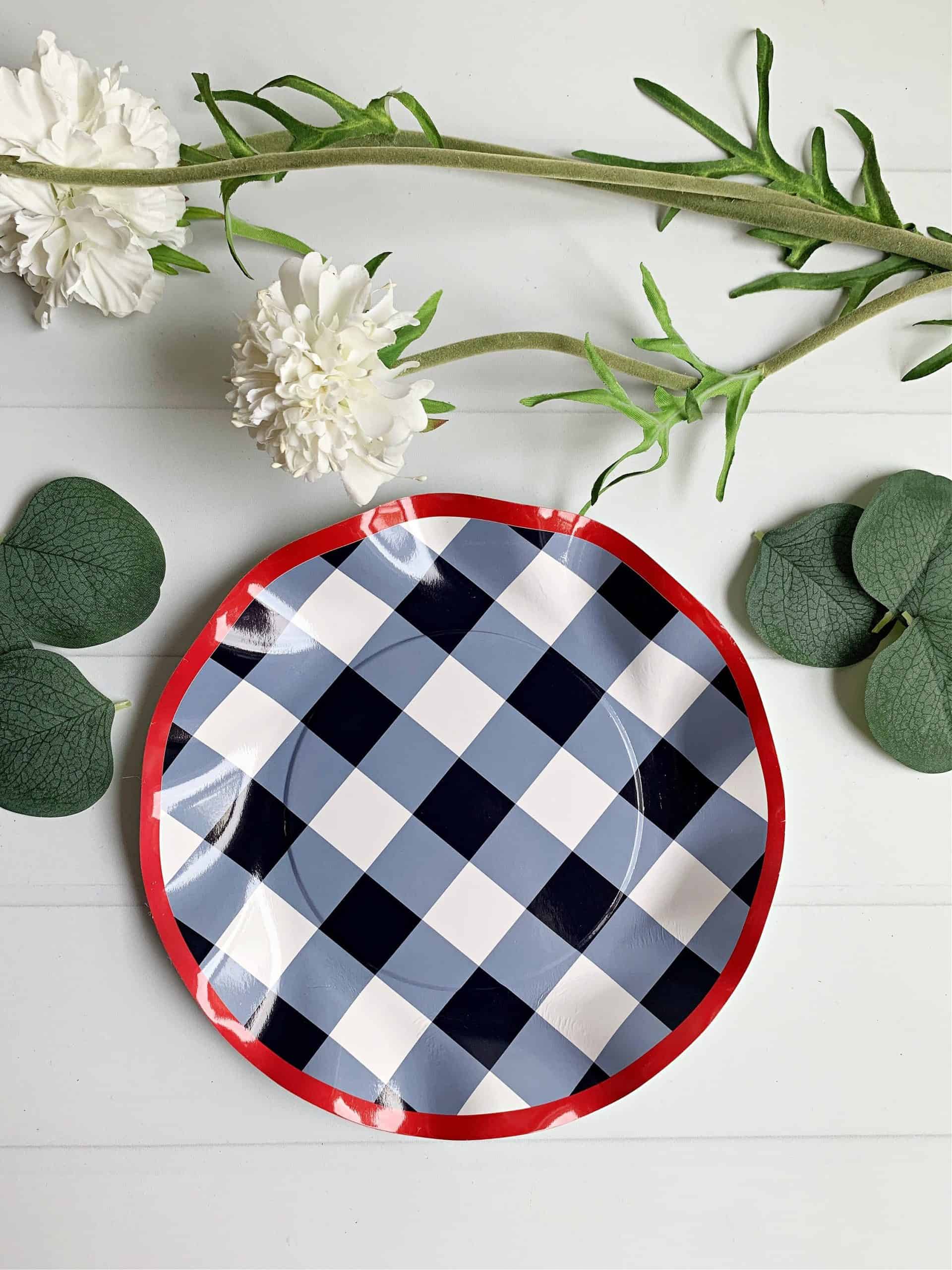 Family Reunion Gingham Party Supplies and Patriotic 4th of July Supplies.