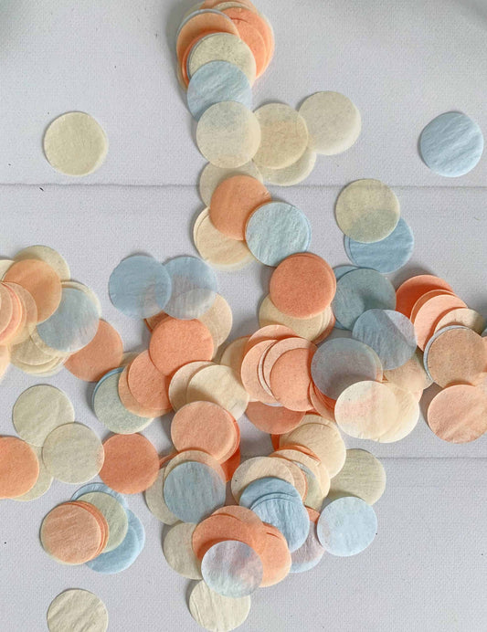Peach and Powder Blue Confetti