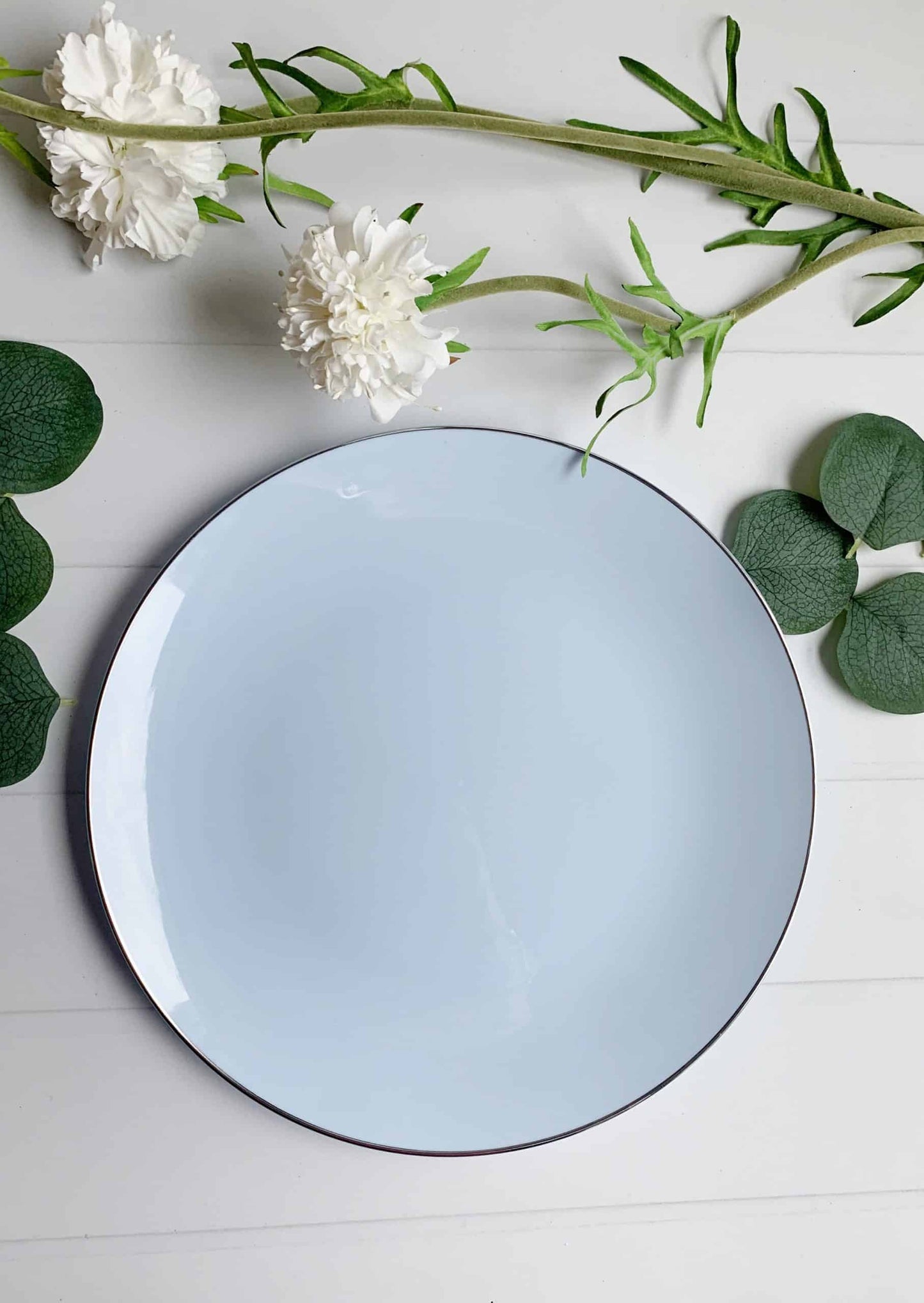 Ice Blue with Silver Dinner Plates - Plastic