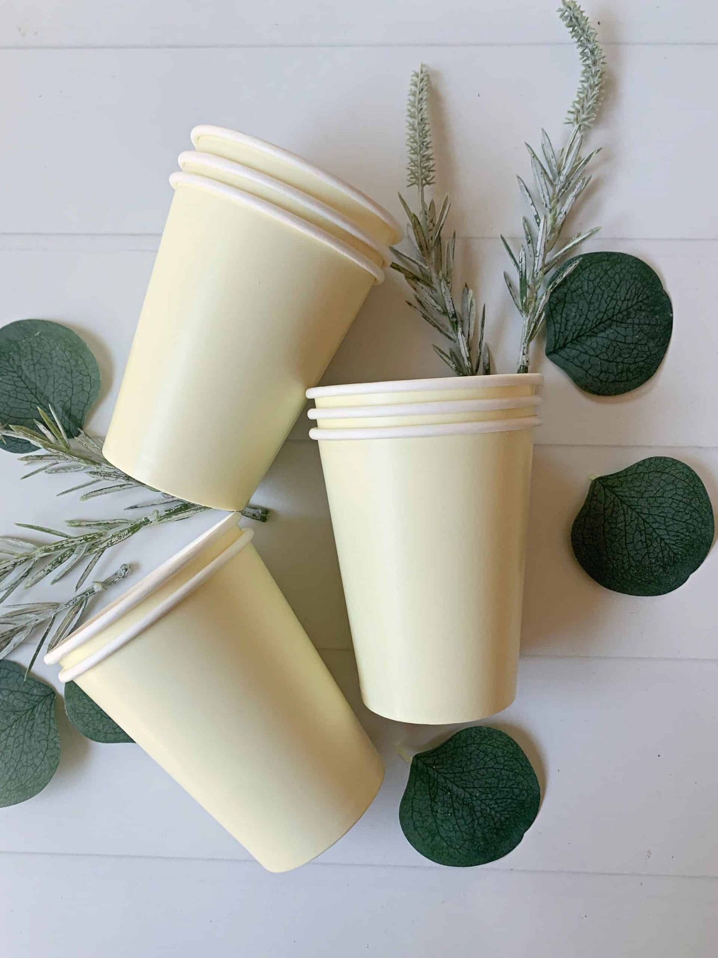 Ivory paper cups are perfect for a baby sip and see - gender neutral for a boy or a girl