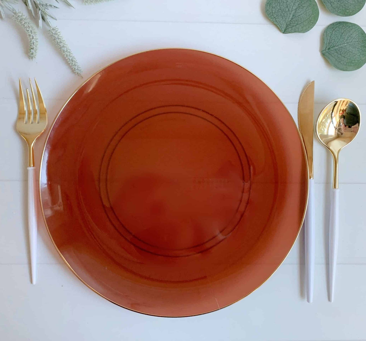Terra Cotta Dinner Plates - Plastic