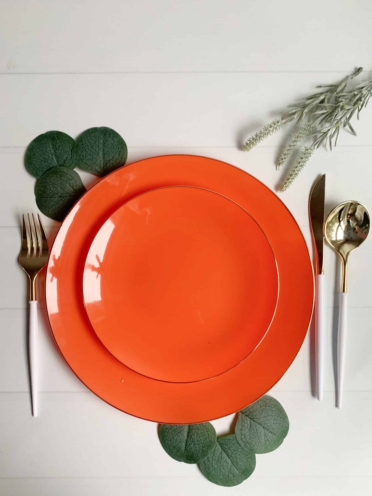 Orange Dinner Plates - Plastic