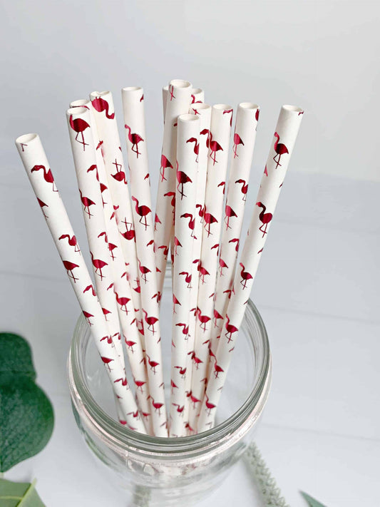 Hot Pink Flamingo Straws