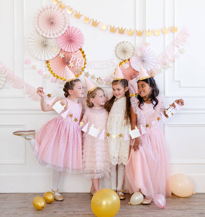 Princess Pink and Gold Party Photo Backdrop Fans
