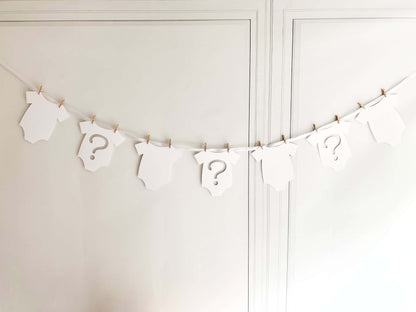 White Gender Reveal Onesie Banner