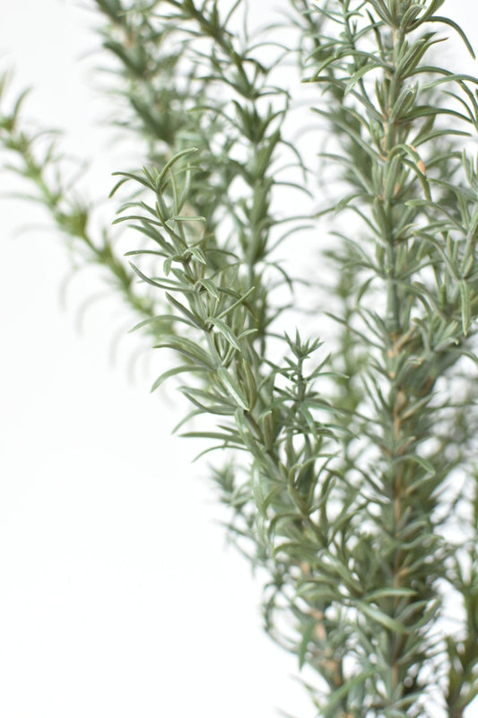 24" Faux Rosemary Bush | EnFete Party
