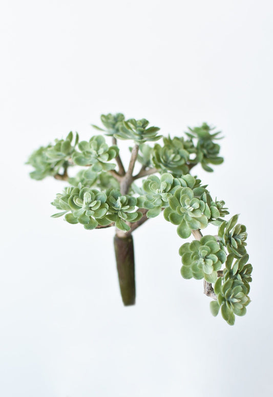 5" Faux Green Sedum Succulent Pick